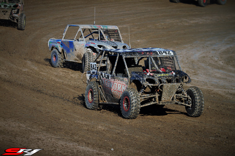 webster 9